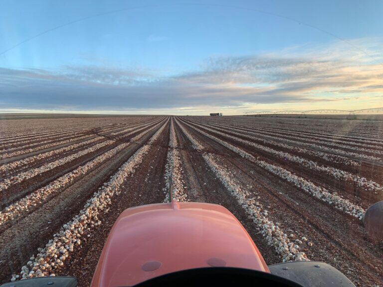 Campo arado húmedo desde tractor