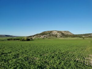 Campo de cultivo verde con cerro al fondo