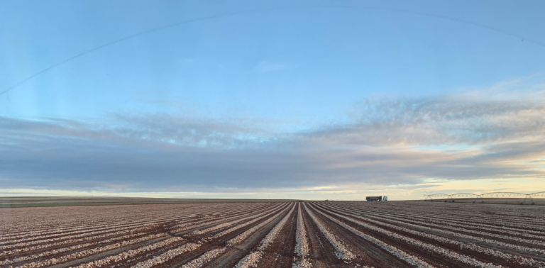 campo arado húmedo con cielo azul en amanecer